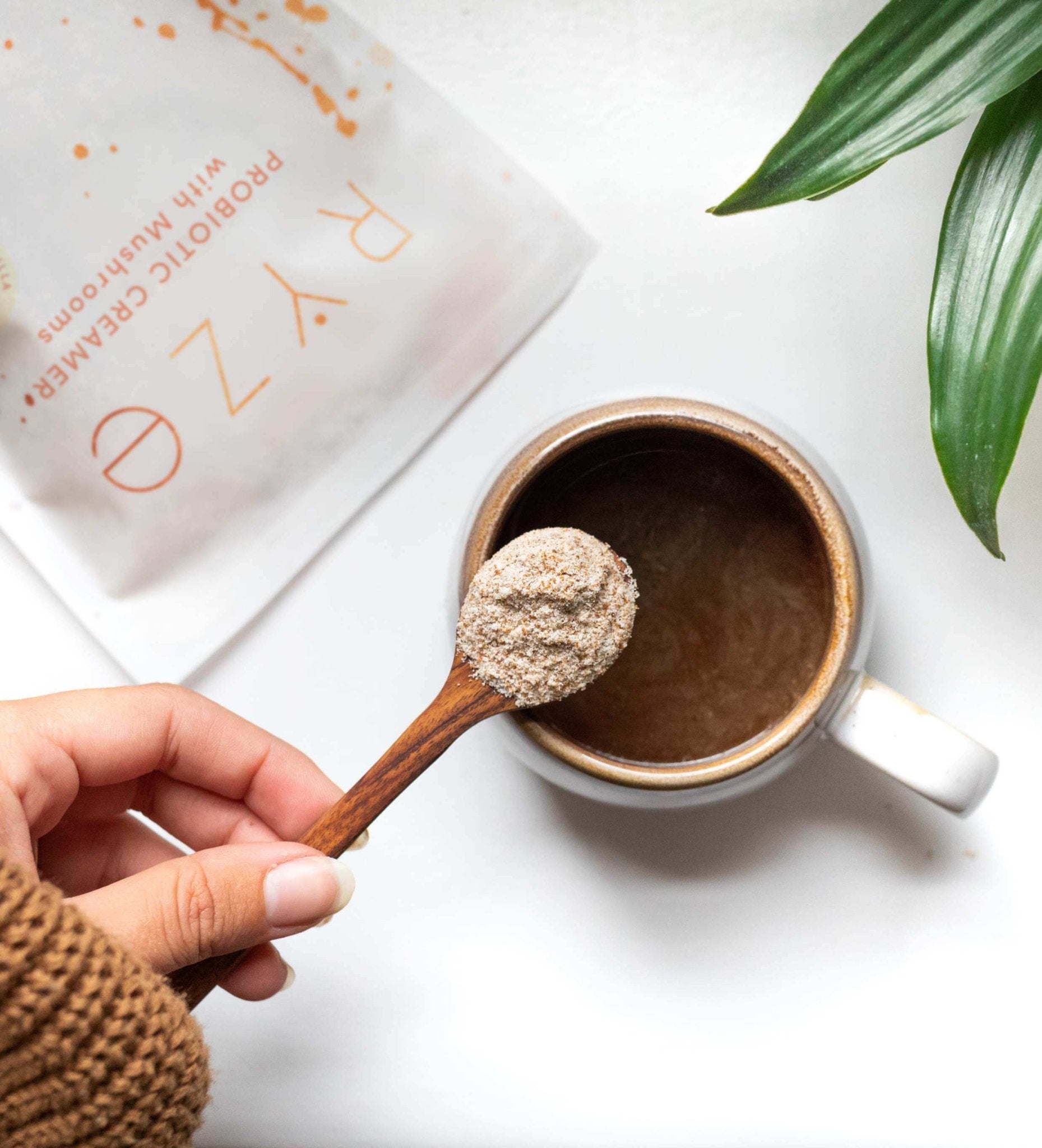 probiotic-creamer-30-servingsa15b412ryze-180504-1.jpg