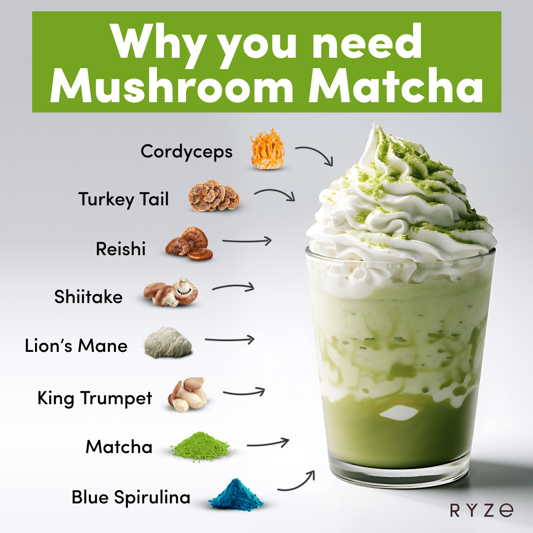 ryze-organic-mushroom-matcha-starter-kit-60-servingssp0053ryze-680658-1.png
